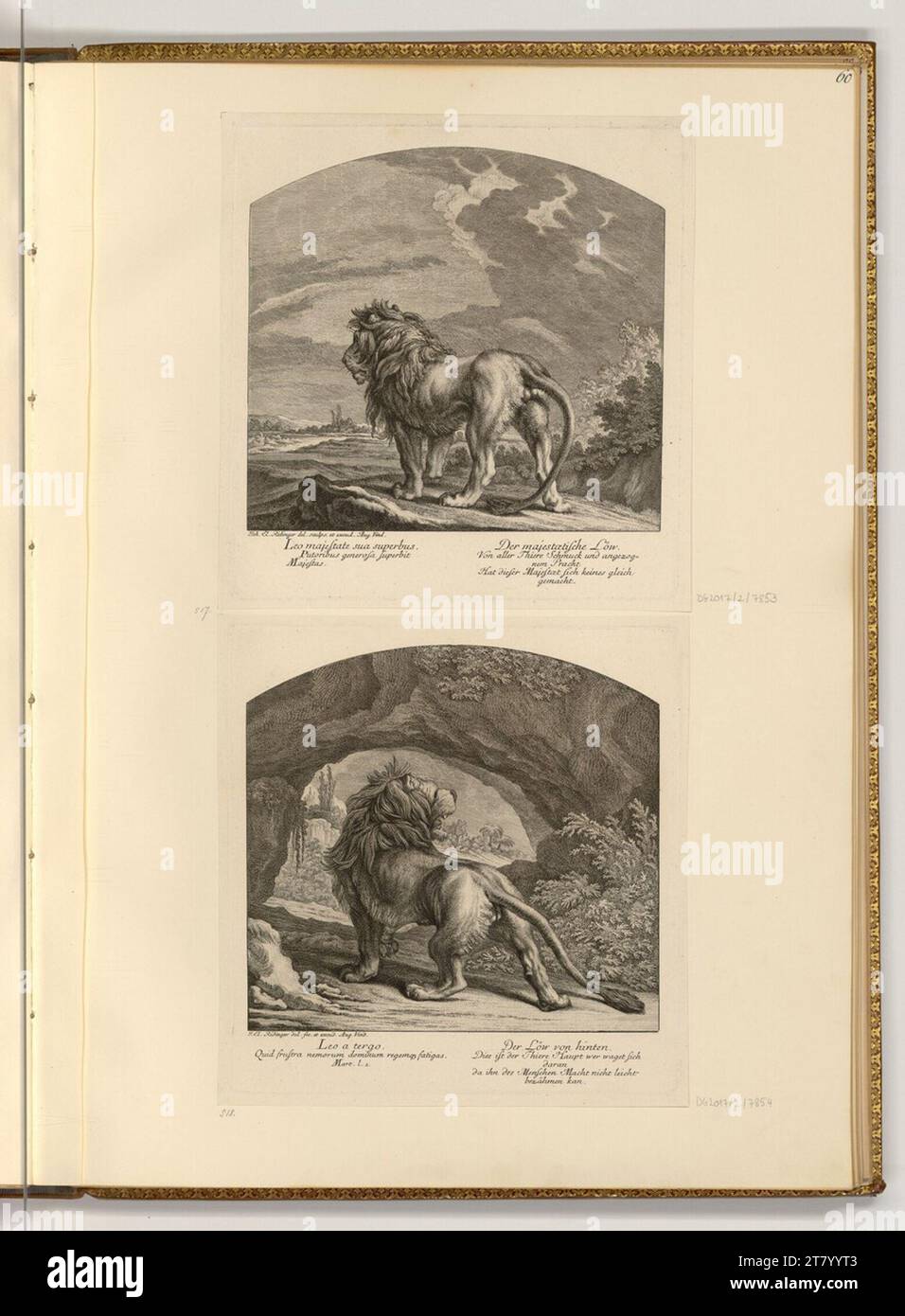 Johann Elias Ridinger (Ausführende r Künstler in) Löwen. Ätzen 1718-1767 , 1718/1767 Stockfoto