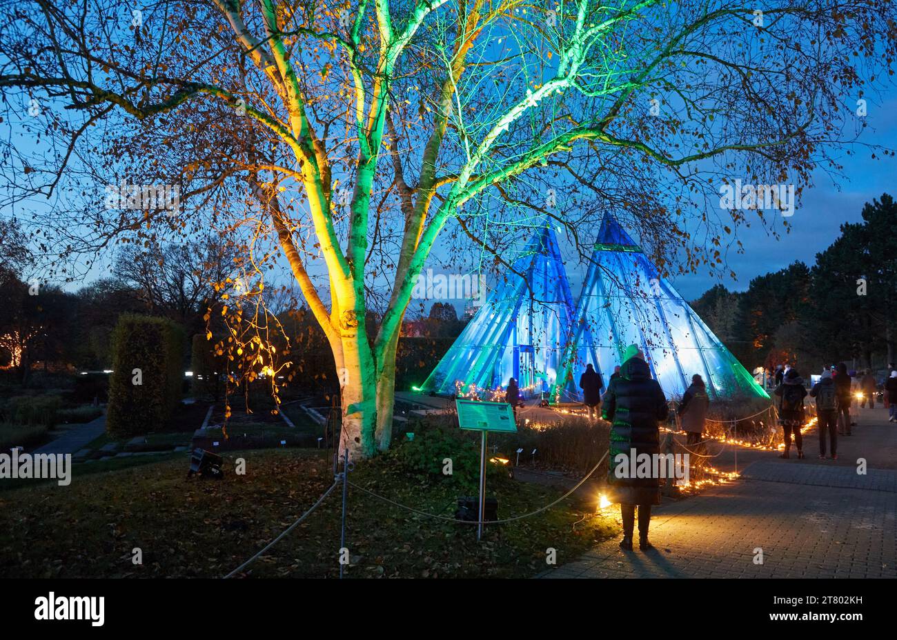 Hamburg, Deutschland. November 2023. Die ersten Besucher gehen an Lichtinstallationen im „Weihnachtsgarten“ im Loki-Schmidt-Garten vorbei. Der Halbmond ist im Hintergrund zu sehen. In diesem Winter verwandelt sich der Loki Schmidt Garten erstmals in eine leuchtende Landschaft mit Lichtshows. Quelle: Georg Wendt/dpa/Alamy Live News Stockfoto