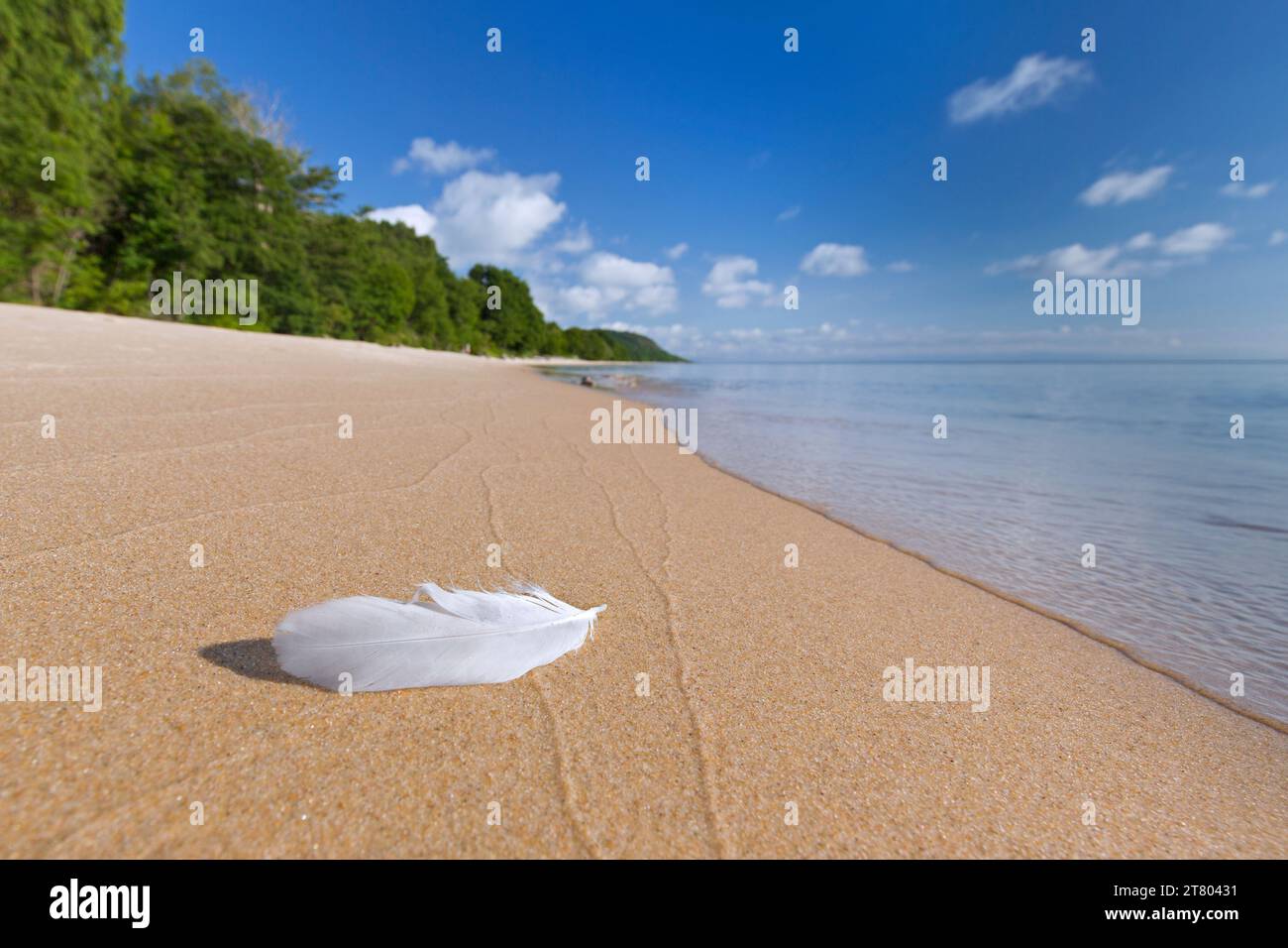 Weiße Vogelfeder am ruhigen Sandstrand von Knäbäckshusen/Knaebaeckshusen entlang der Ostsee, Österlen in Ravlunda, Skane/Scania, Schweden Stockfoto