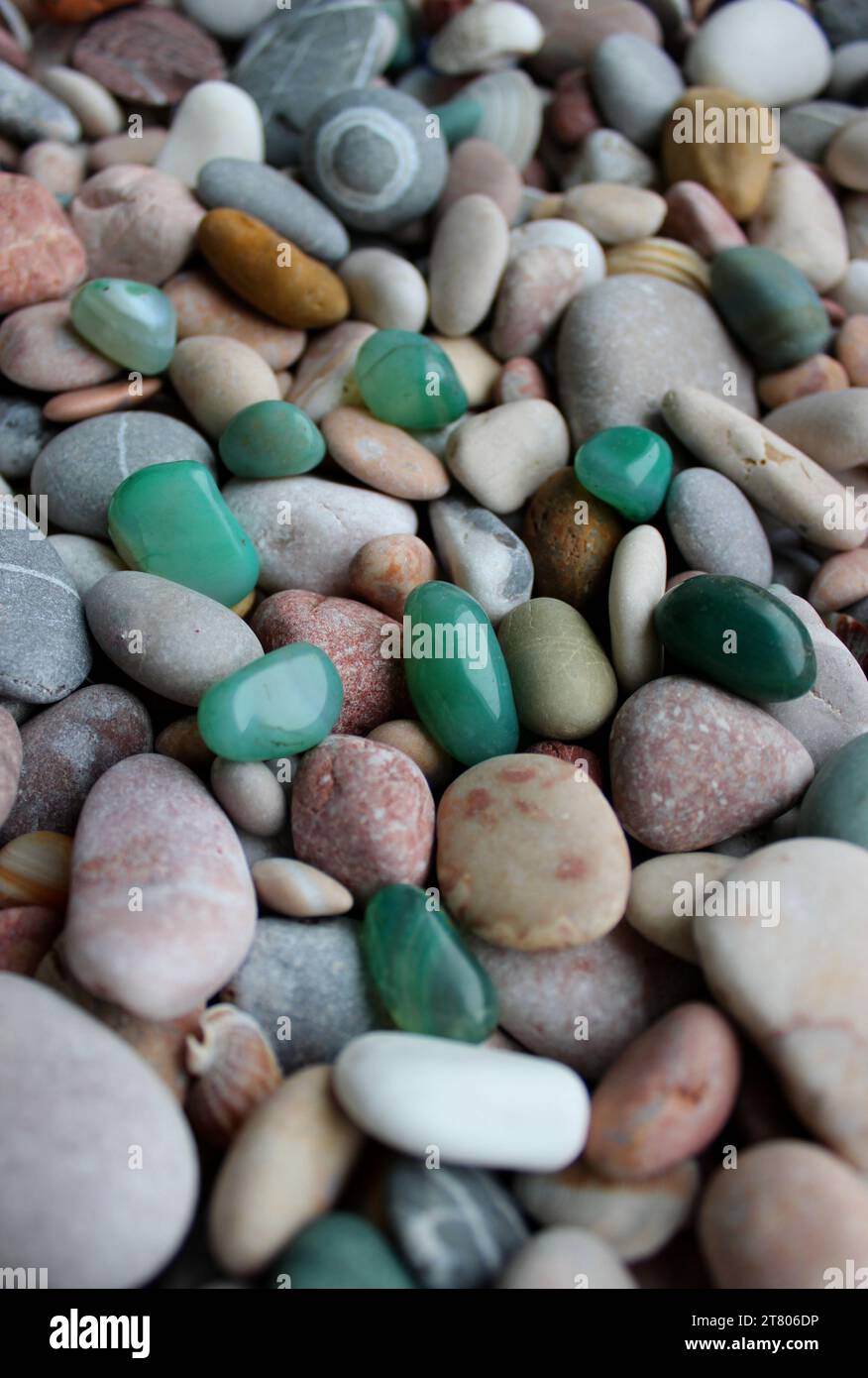 Grüne Quarzsteine sind auf kleinen Kieselsteinen verstreut, mit Muscheln, vertikalem Foto für Hintergründe Stockfoto