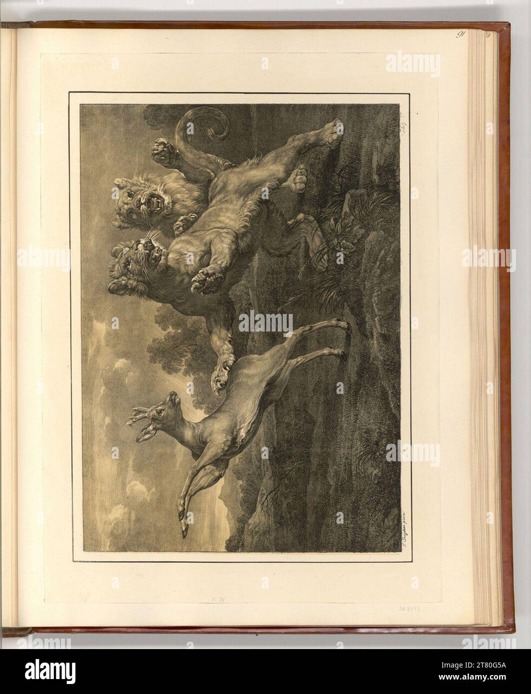Frans Snyders zwei Löwen jagen einen rehbock. Lithographie 1801-1844 , 1801/1844 Stockfoto