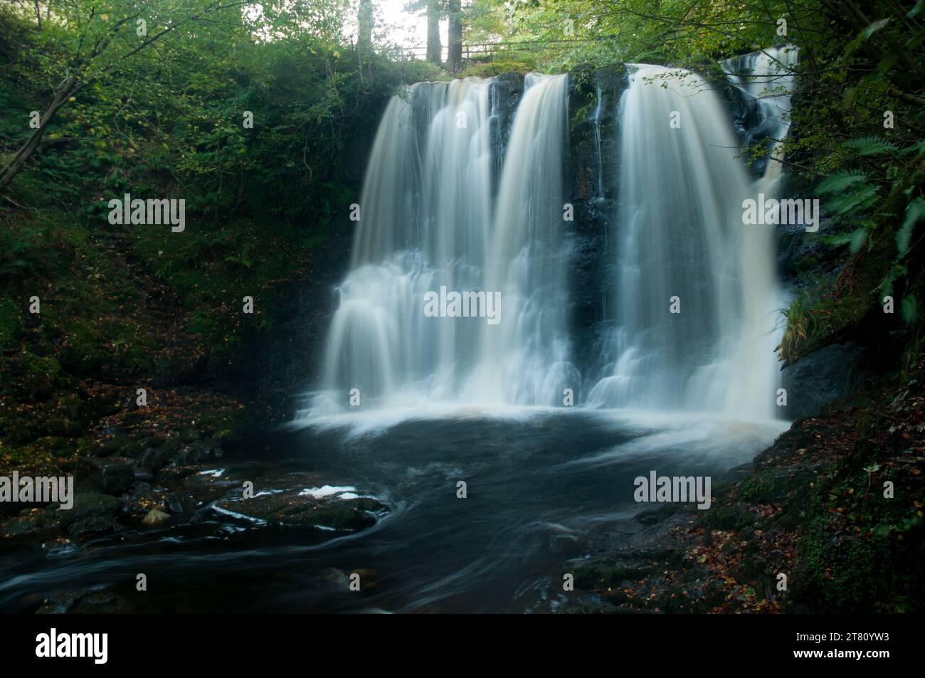 Glenariff Wasserfälle im Herbst. Stockfoto