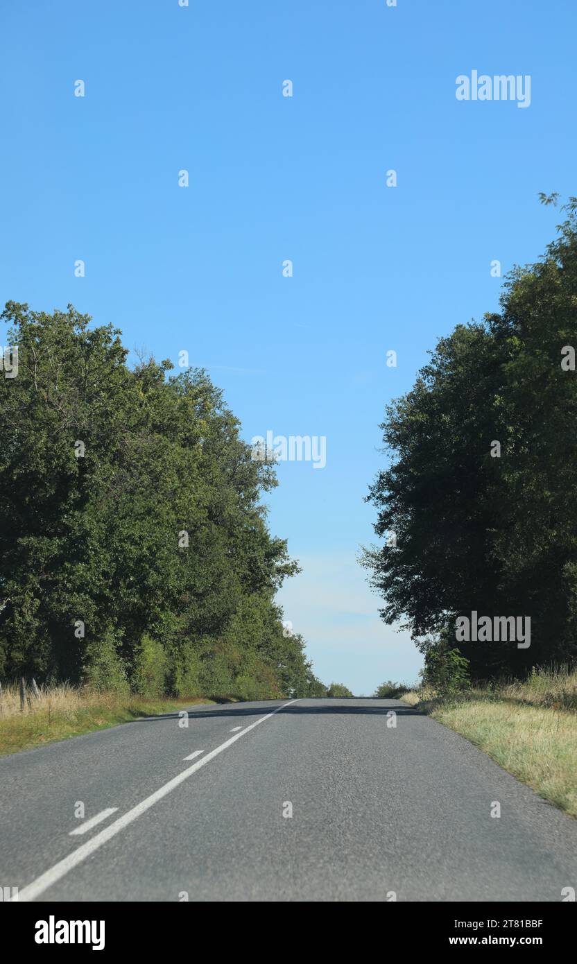 Gerade Asphaltstraße zwischen den Bäumen ohne Menschen und ohne Autos Stockfoto