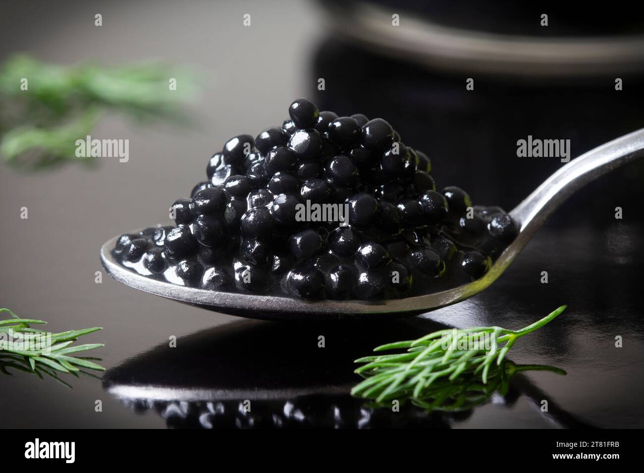 Nahaufnahme von Black Caviar auf Löffel mit frischem Dill. Stockfoto