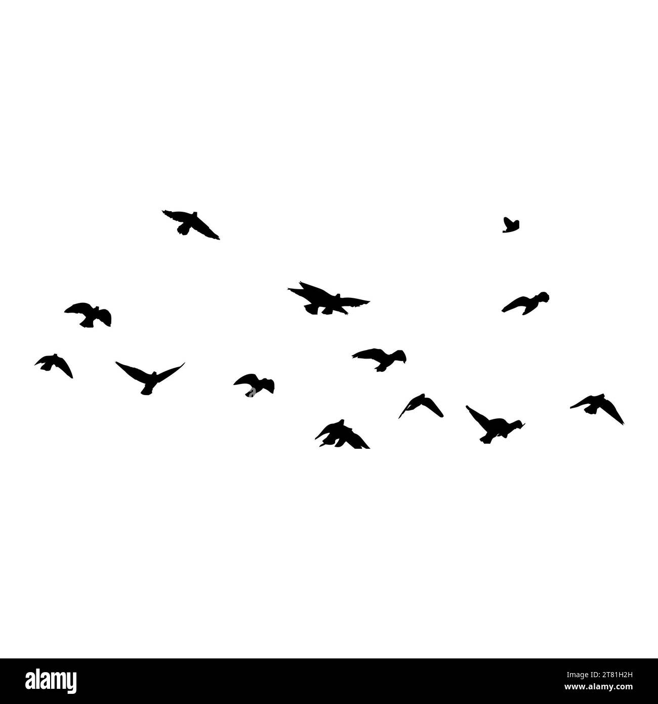 Krähenherde. Fliegende schwarze Vögel im Himmel monochrome flattern Rabensilhouette, migrierende Fluggruppe von wilden Rooks Ornithologie Konzept. Vektorillust Stockfoto