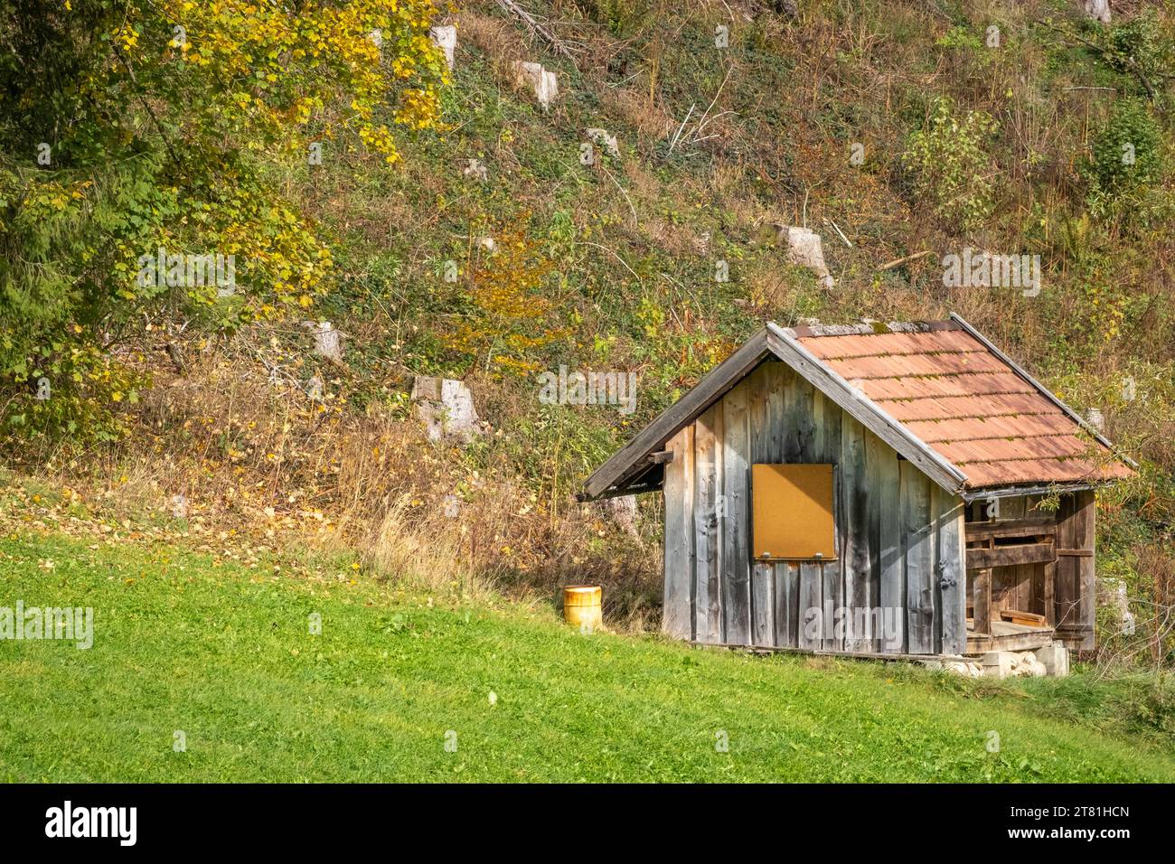 Spaziergang durch das Naherholungsgebiet Hausbachklamm bei Weiler im Allgaeu in Deutschland Stockfoto