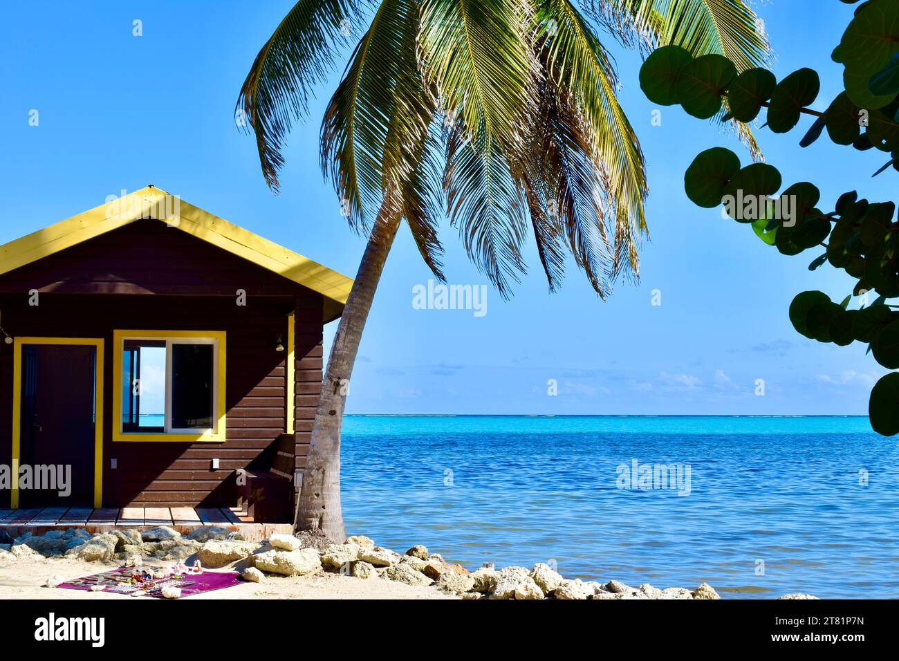 Eine Holzhütte an einem Strand, mit einer Palme auf der rechten Seite, in einem Resort auf Ambergris Caye, Belize, mit dem blauen Karibischen Meer im Hintergrund. Stockfoto