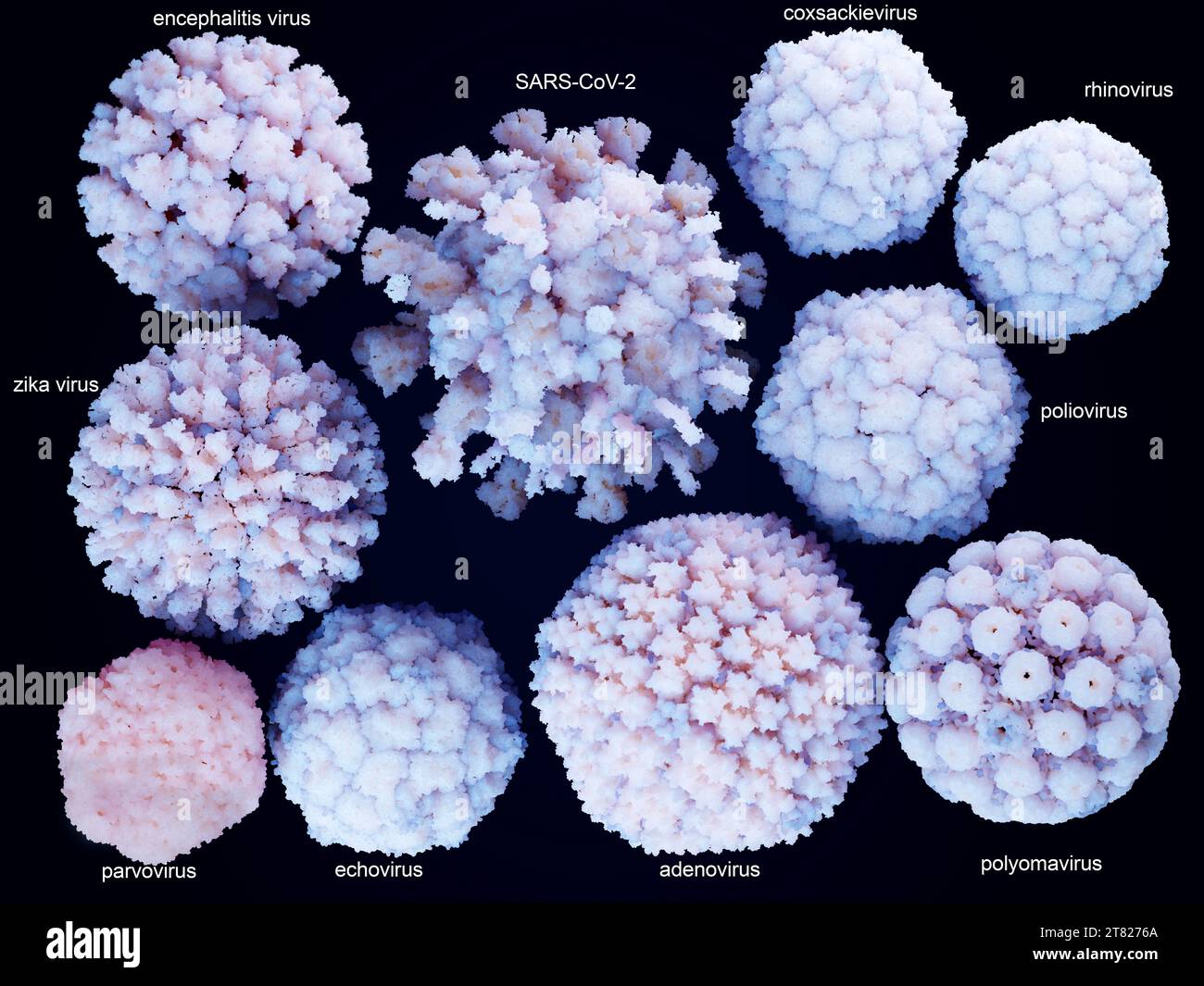 Vom Menschen befallen Viren, Illustration Stockfoto