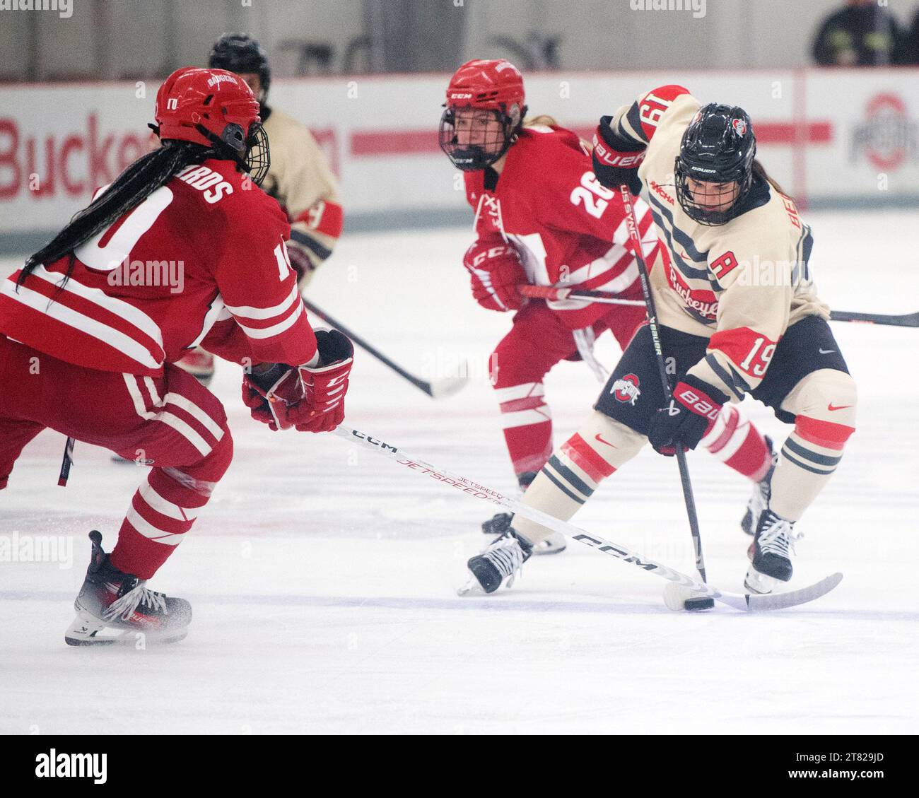Columbus, Ohio, USA. November 2023. Lauren Bernard (19), Verteidiger der Ohio State Buckeyes, trägt den Puck gegen die Wisconsin Badgers-Stürmer Laila Edwards (10) in ihrem Spiel in Columbus, Ohio. Brent Clark/Cal Sport Media (Bild: © Brent Clark/Cal Sport Media). Quelle: csm/Alamy Live News Stockfoto