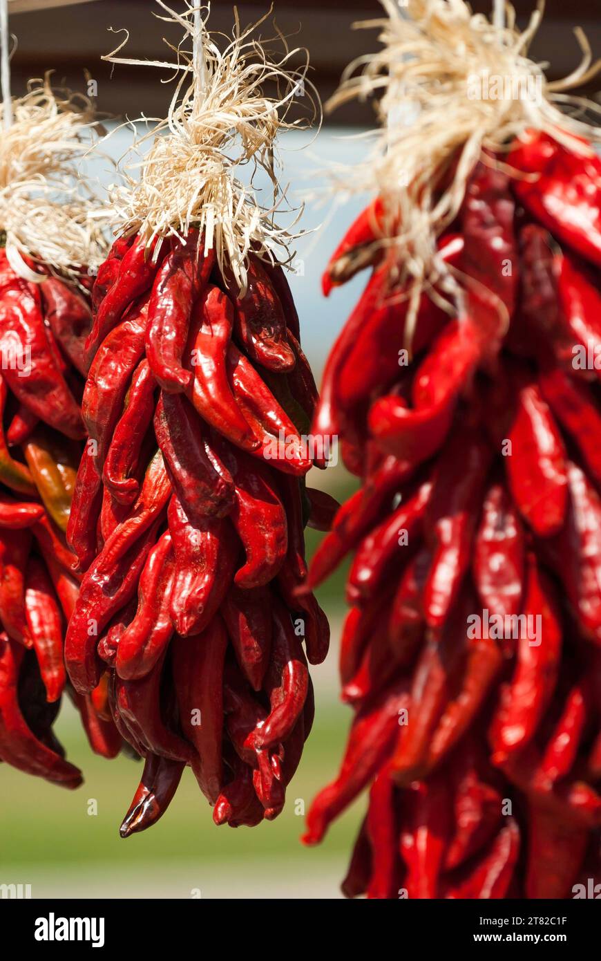 Chilischoten an einem Marktstand, heiß, Gewürze, Essen, Paprika, New Mexico USA Stockfoto