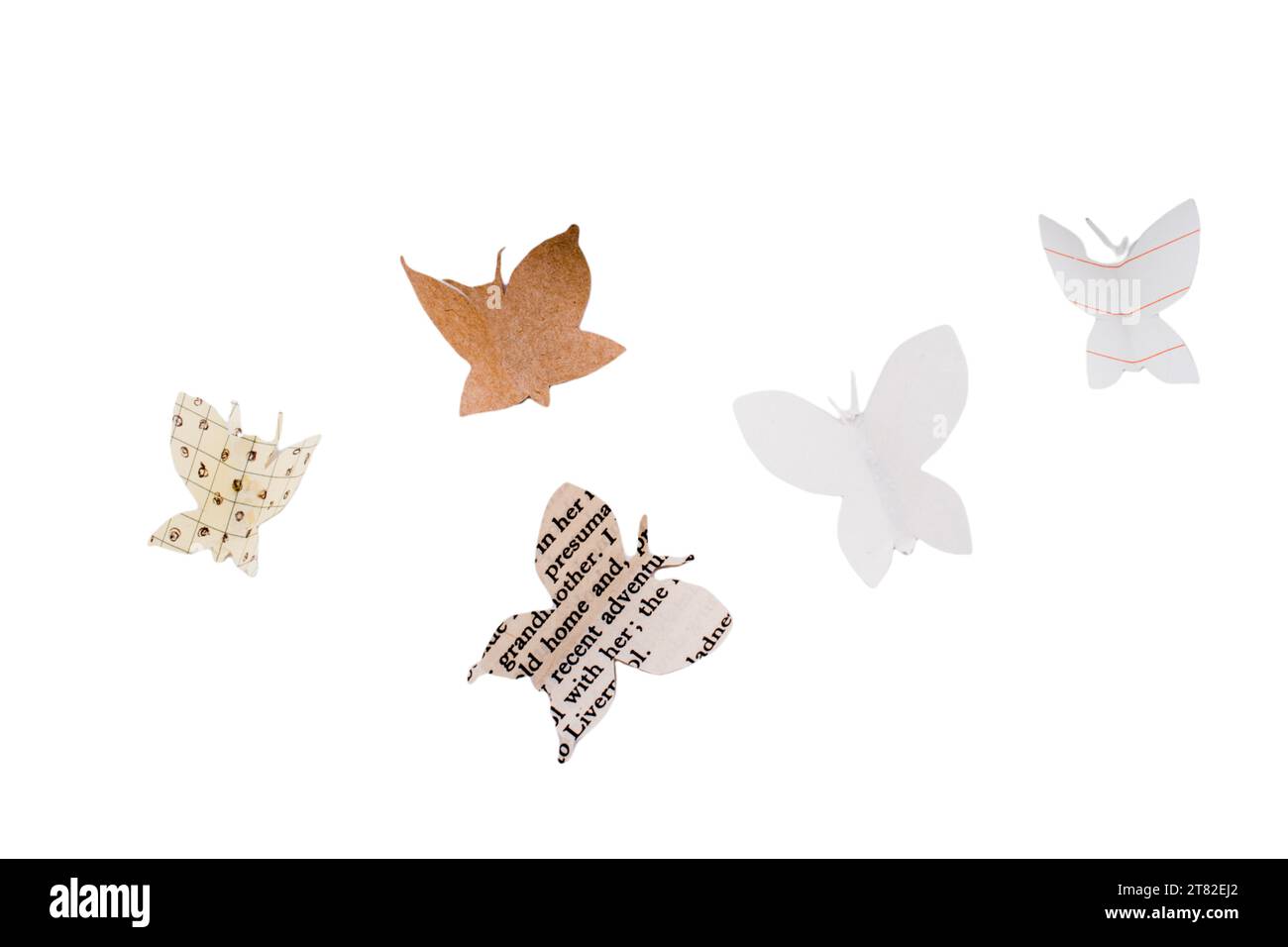 Schmetterlingssymbol mit Papierschnitt auf weißem Hintergrund. Papierkunst Stockfoto