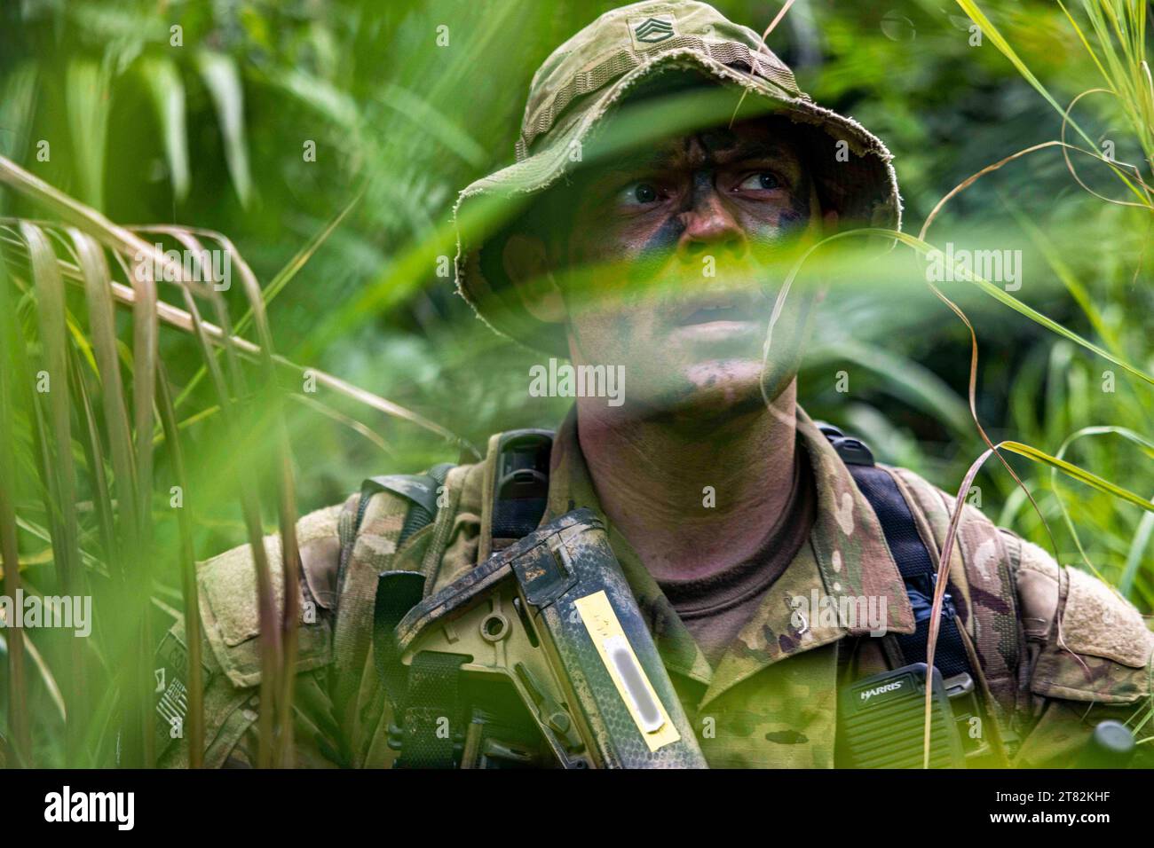 13. November 2023 - Oiapoque, ParÃ, Brasilien - Soldat der US-Armee, Stabsleiter Logan Clapham, Anführer des 1. Bataillons, 26. Infanterieregiment, 2. Brigade Combat Team, 101. Luftlandedivision (Luftangriff), schaut während einer Dschungelaufklärung auf einer Insel in Oiapoque, Brasilien, durch das Laub. während der Übung Southern Vanguard 24. November. 13, 2023. Southern Vanguard, eine jährliche bilaterale Übung, die sich zwischen den Partnerländern im Zuständigkeitsbereich des U.S. Southern Command dreht, soll die Interoperabilität der Partner zwischen den USA und den USA verbessern Stockfoto