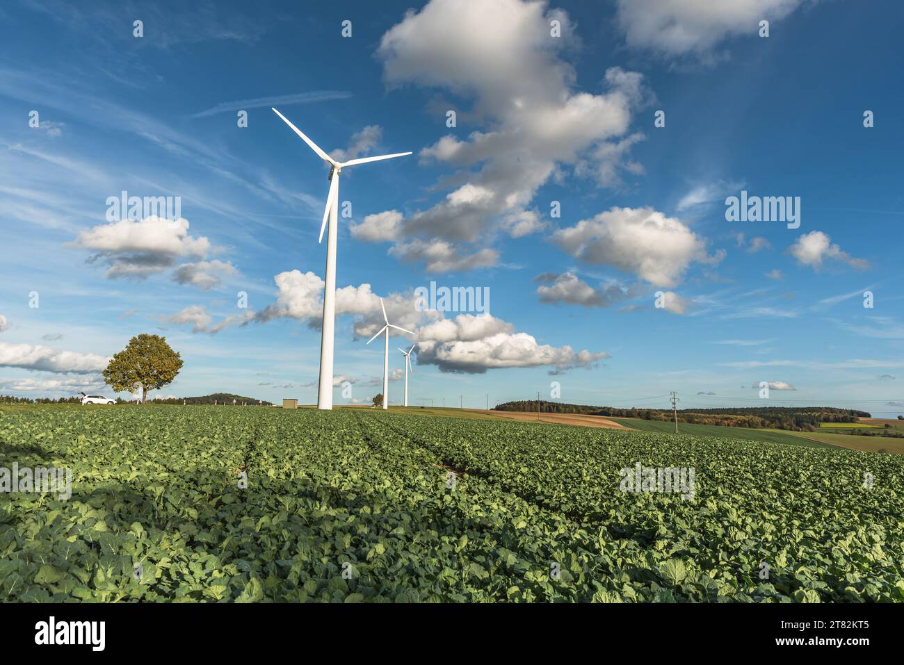 Windturbinen in einem Feld im ländlichen Süddeutschland, Windkraftwerk Baden-Württemberg, Deutschland Stockfoto