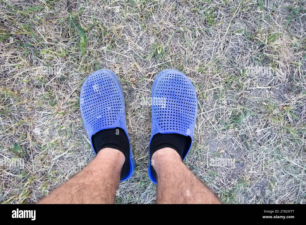 Haarige Männerbeine in schwarzen Socken, in alten blauen Hausschuhen mit Löchern, stehen auf einem halbgetrockneten Rasen im Innenhof des Hauses Stockfoto