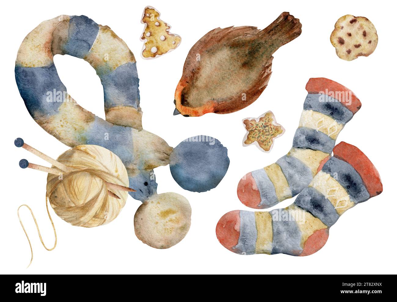 Handgezeichnete Aquarellillustration. Gestrickter Schal, Socken, Garnball mit Nadeln, rotkehlchen, hausgemachte Lebkuchenkekse. Zusammensetzung isoliert auf Stockfoto
