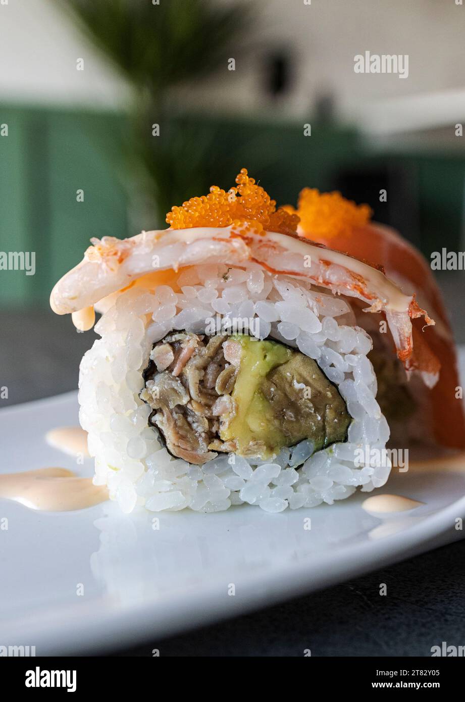 Ein Stück Sushi mit Aalgarnelen und Avocado. Nahaufnahme Stockfoto