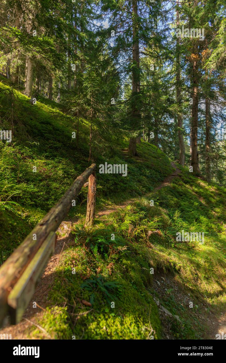 Tuxertal, Zillertaler Alpen, Tirol, Österreich Stockfoto