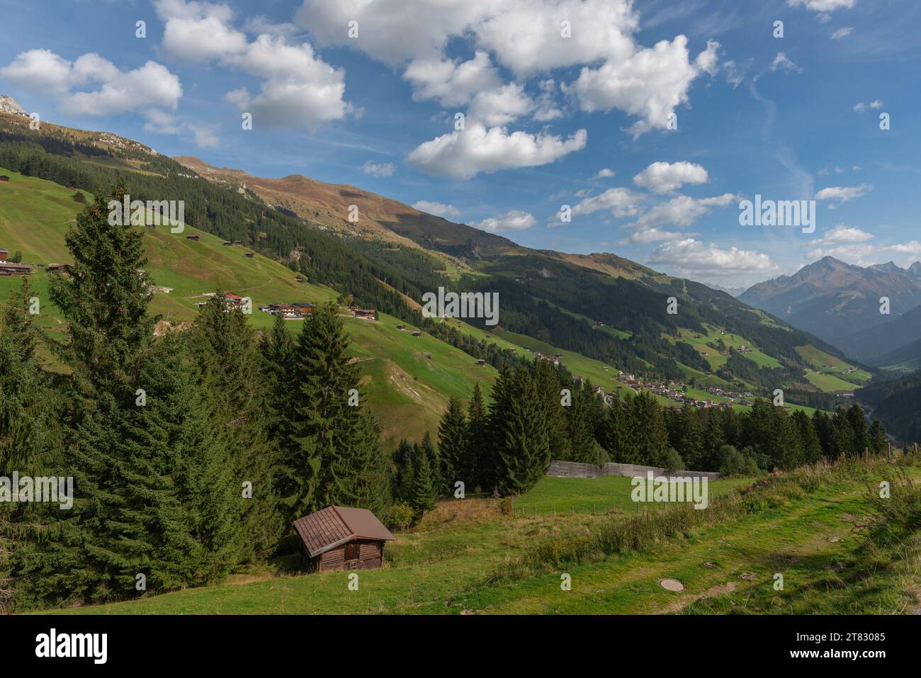 Almwiesen inlandwirtschaftliche Landfläche, bewaldete Hänge, Tuxertal, Zillertaler Alpen, Tirol, Österreich Stockfoto