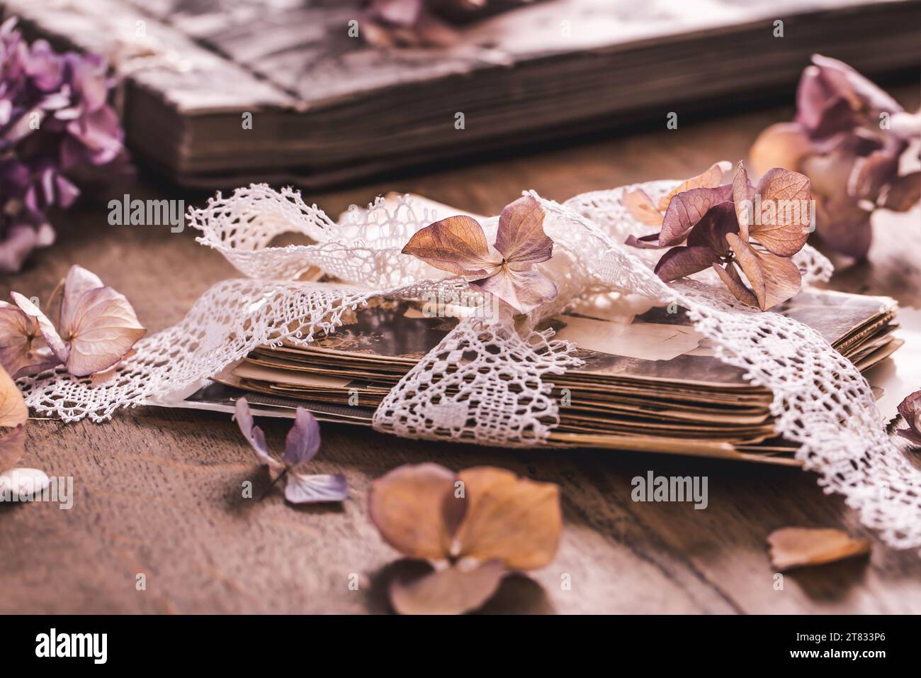 Erinnerungen, antike und alte Familienfotos mit getrockneten Blumen im Vintage-Stil auf Holztisch Stockfoto