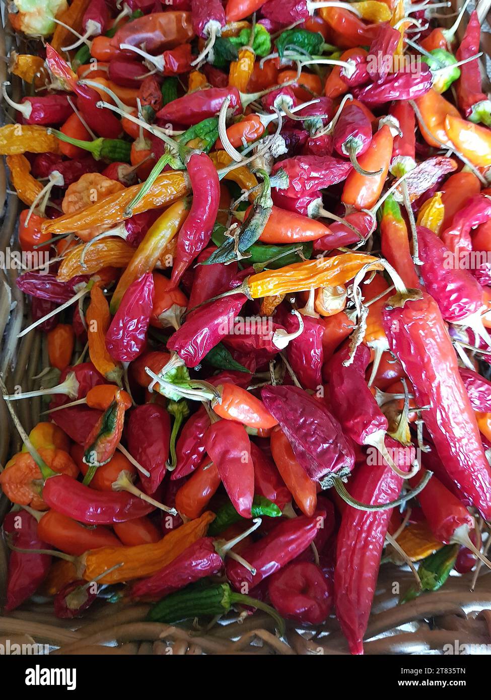 Nahaufnahme einer Ausstellung farbenfroher Chilis in einem Strohkorb. Stockfoto