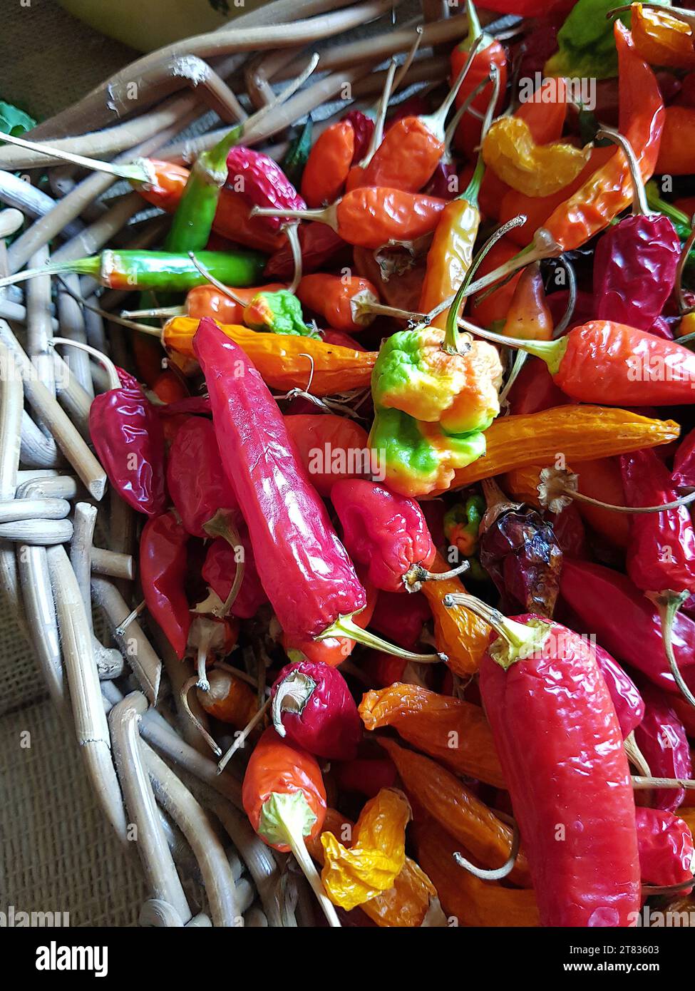 Nahaufnahme einer Ausstellung farbenfroher Chilis in einem Strohkorb. Stockfoto