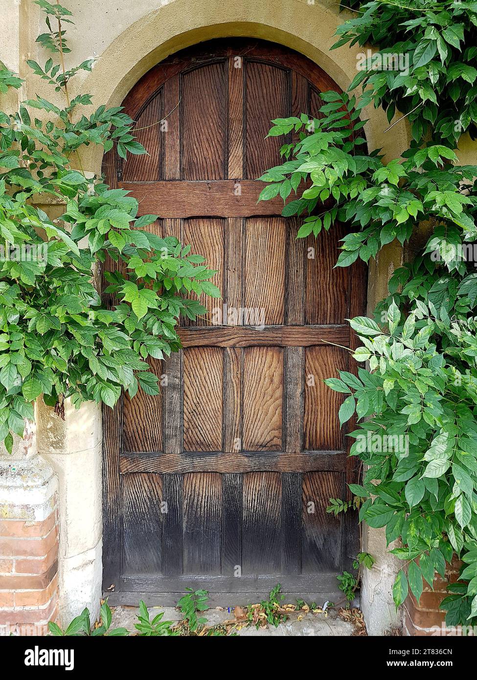 Nahaufnahme einer historischen hölzernen Tür, die in eine Steinmauer eingefasst ist. Stockfoto