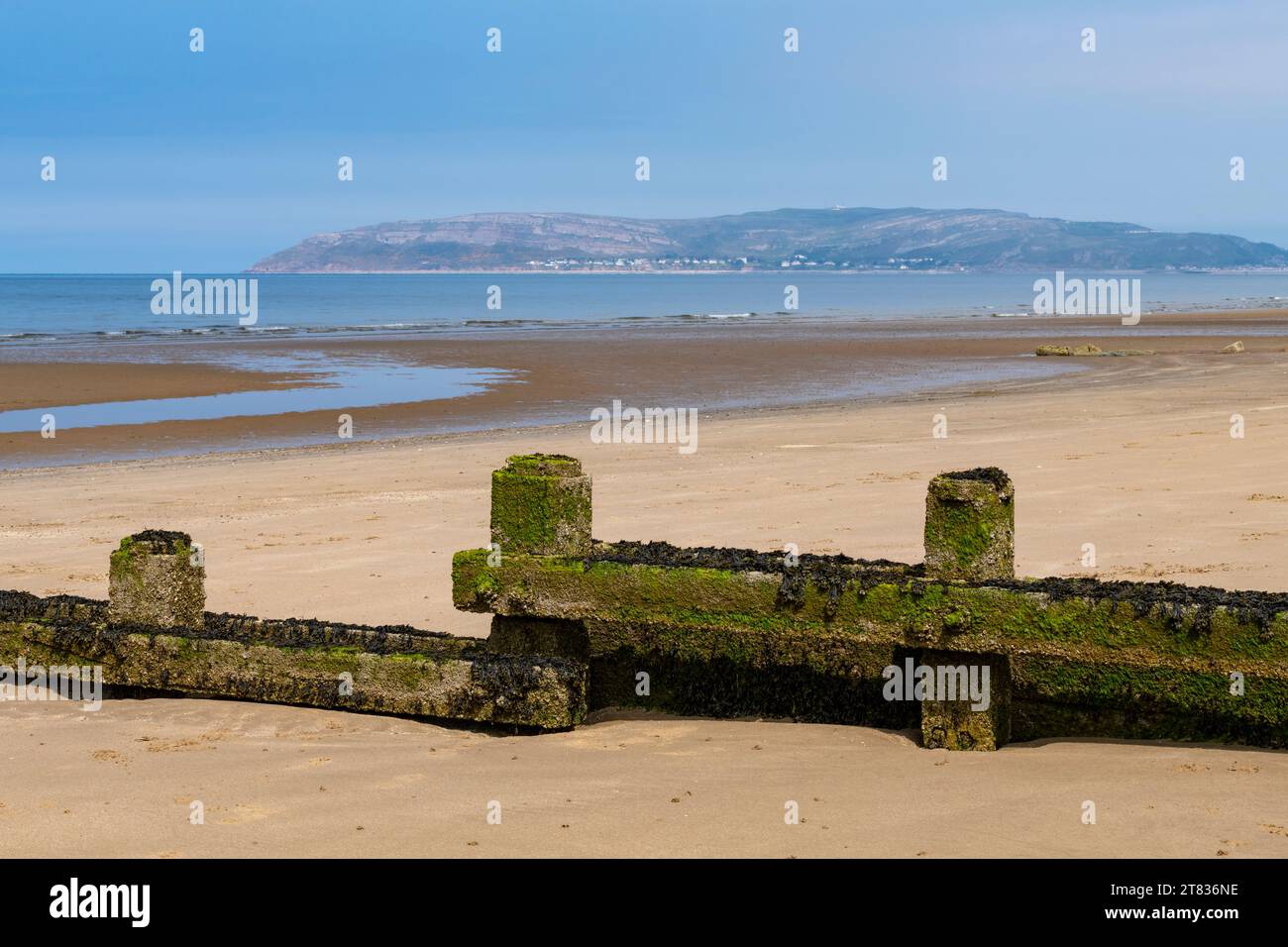 Penmaenmawr Beach im Conwy County an der Küste von Nordwales. Stockfoto