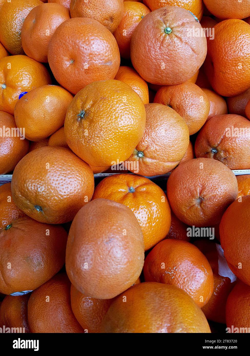 Nahaufnahme einer Darstellung reifer Orangen. Stockfoto