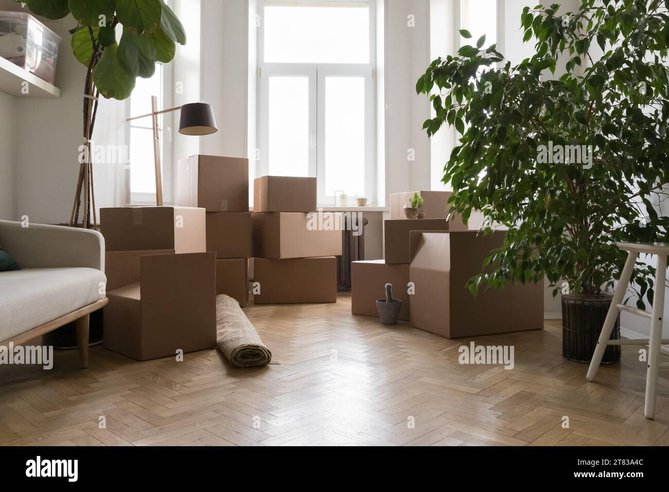 Leeres Wohnzimmer mit Pappkartons am Umzugstag Stockfoto