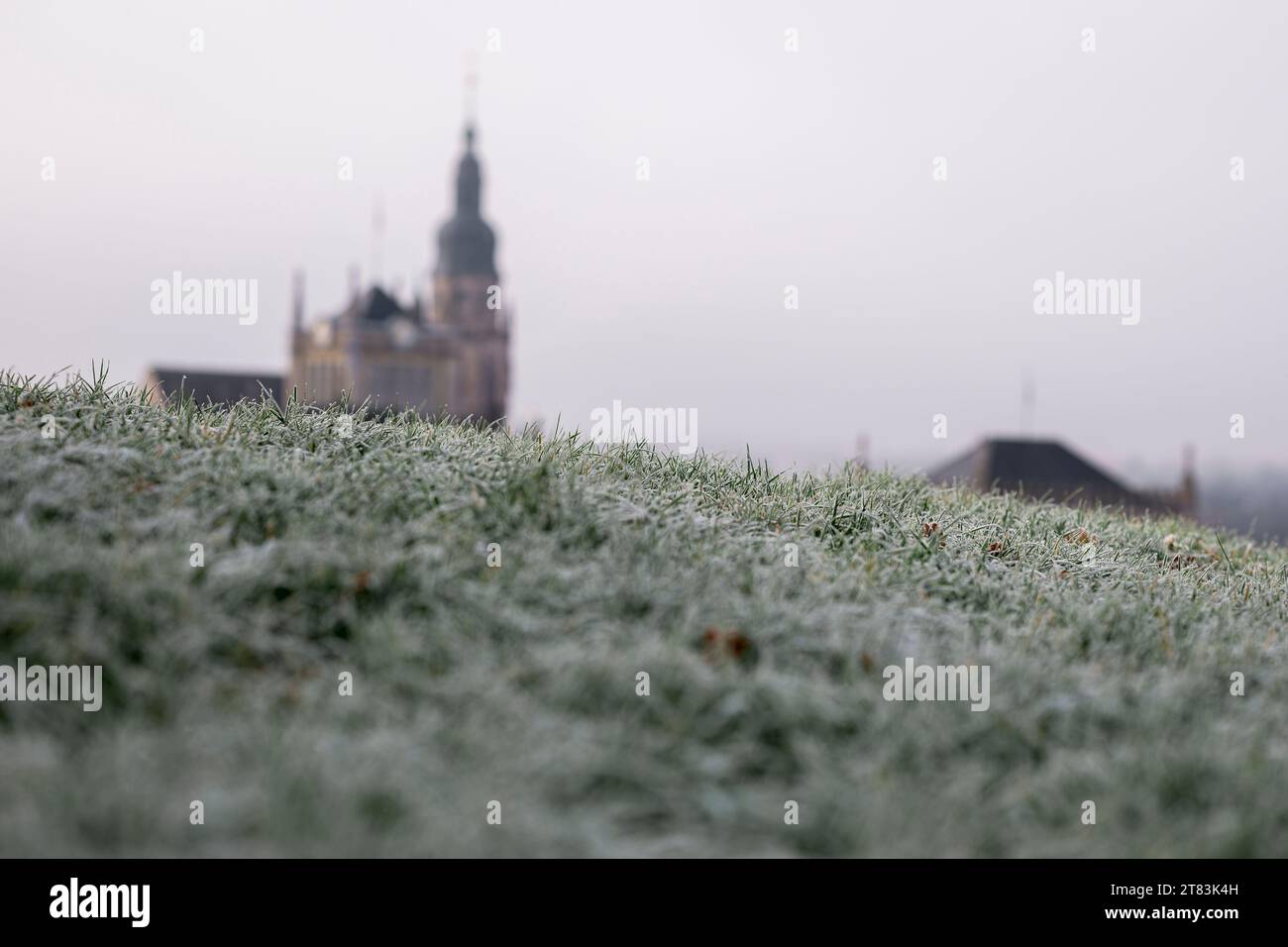 Coburg, Deutschland. November 2023. Die Wiese im Hofgarten ist mit Raureif bedeckt. Schloss Ehrenburg und Stadtkirche St. Moriz ist im Hintergrund zu sehen. Quelle: Daniel Vogl/dpa/Alamy Live News Stockfoto