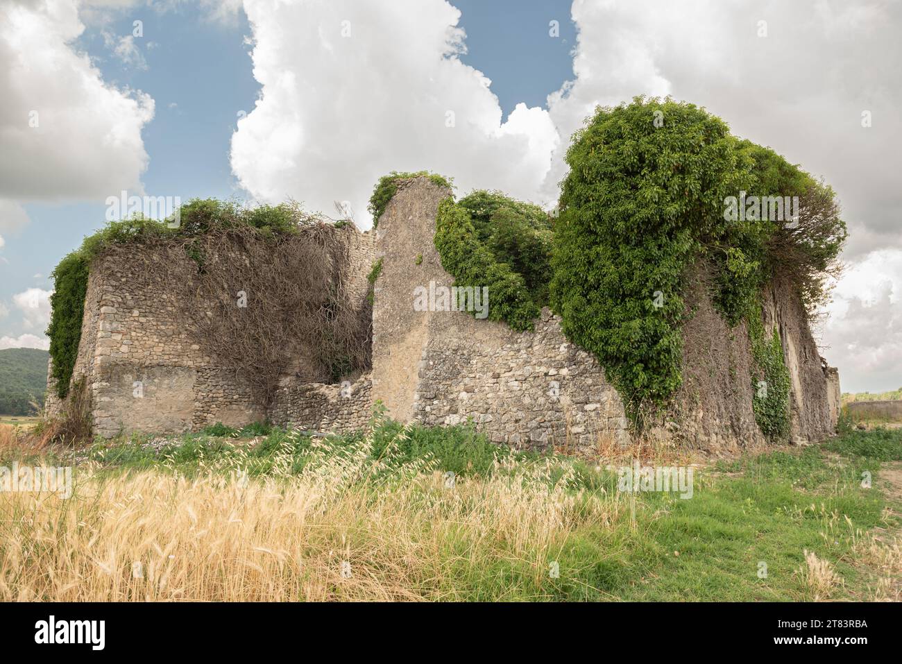 Ruine eines alten kleinen Steinhauses, bedeckt mit Efeu, umgeben von Weizenfeld mit schweren Wolken am Himmel Stockfoto