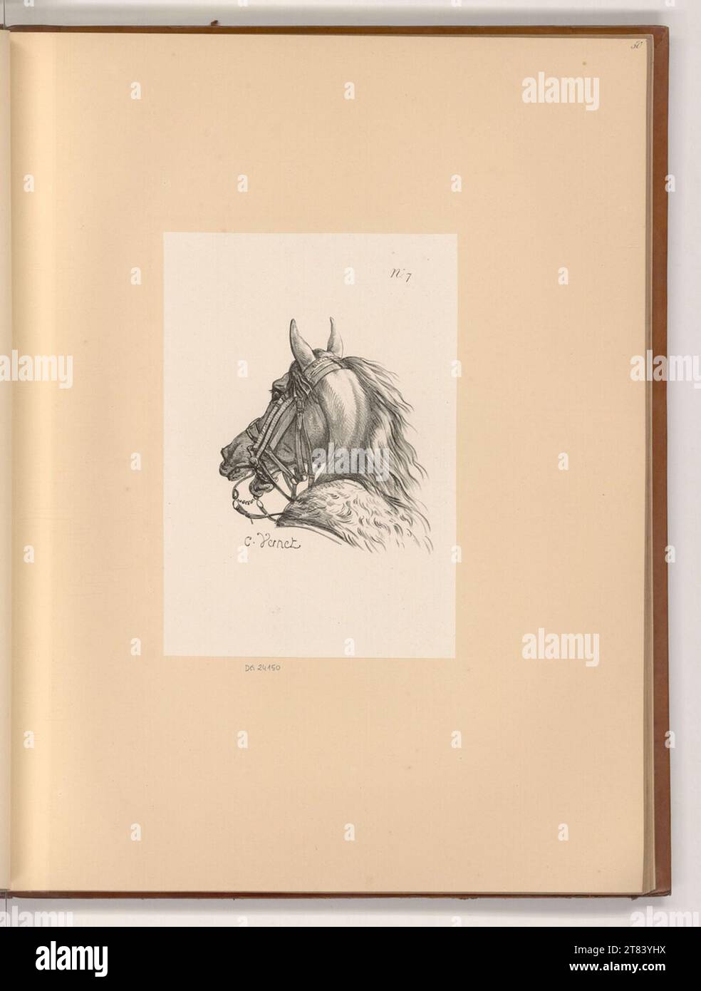 Carle Vernet Pferdekopf. Lithographie um 1817 Stockfoto