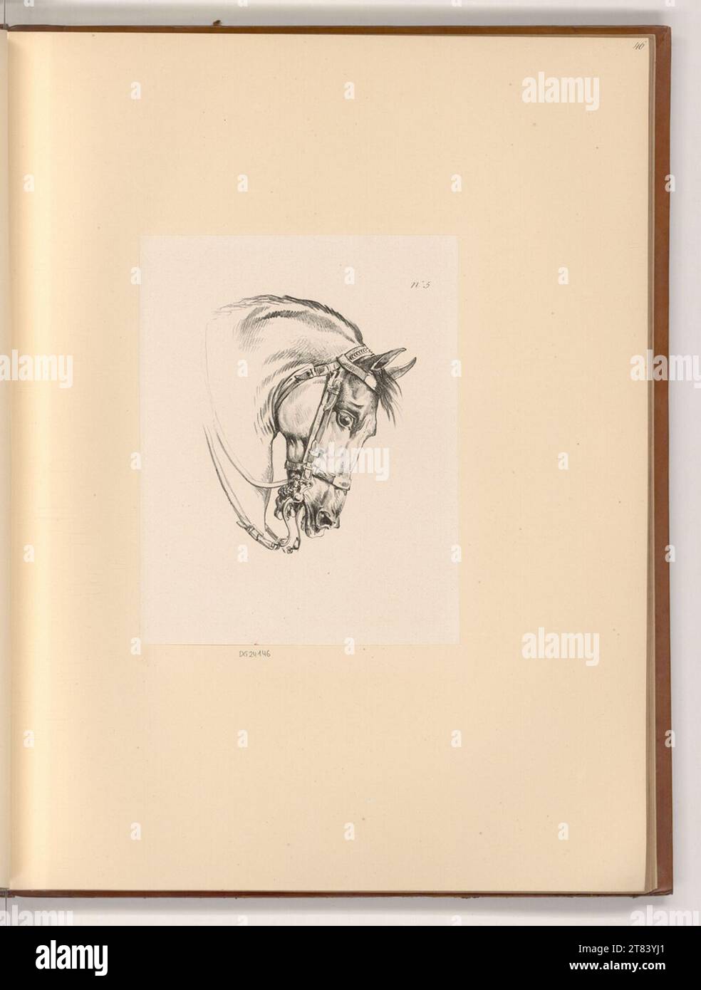 Carle Vernet Pferdekopf. Lithographie um 1817 Stockfoto
