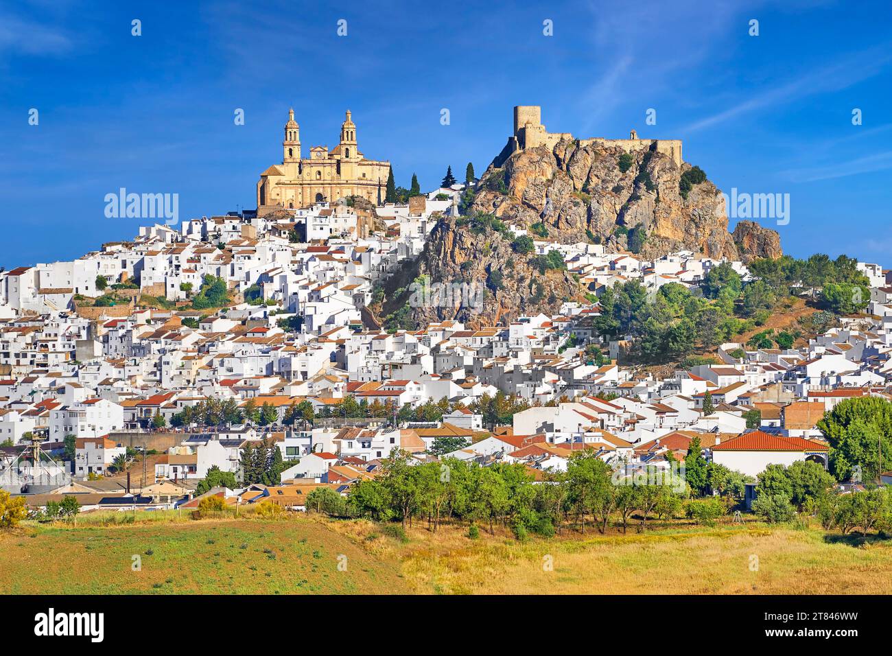 Weißes Dorf Olvera, Provinz Cadiz, Andalusien, Spanien Stockfoto