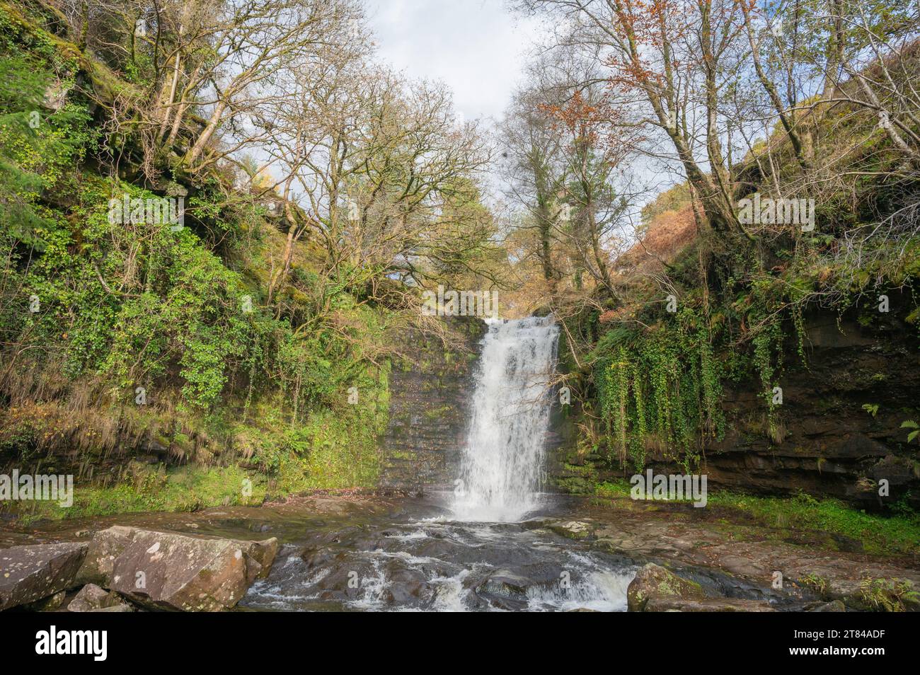 Wasserfall am Afon Caerfanell in der Blaen y Glyn-Schlucht, Bannau Brycheiniog-Nationalpark, Wales, Vereinigtes Königreich, Stockfoto