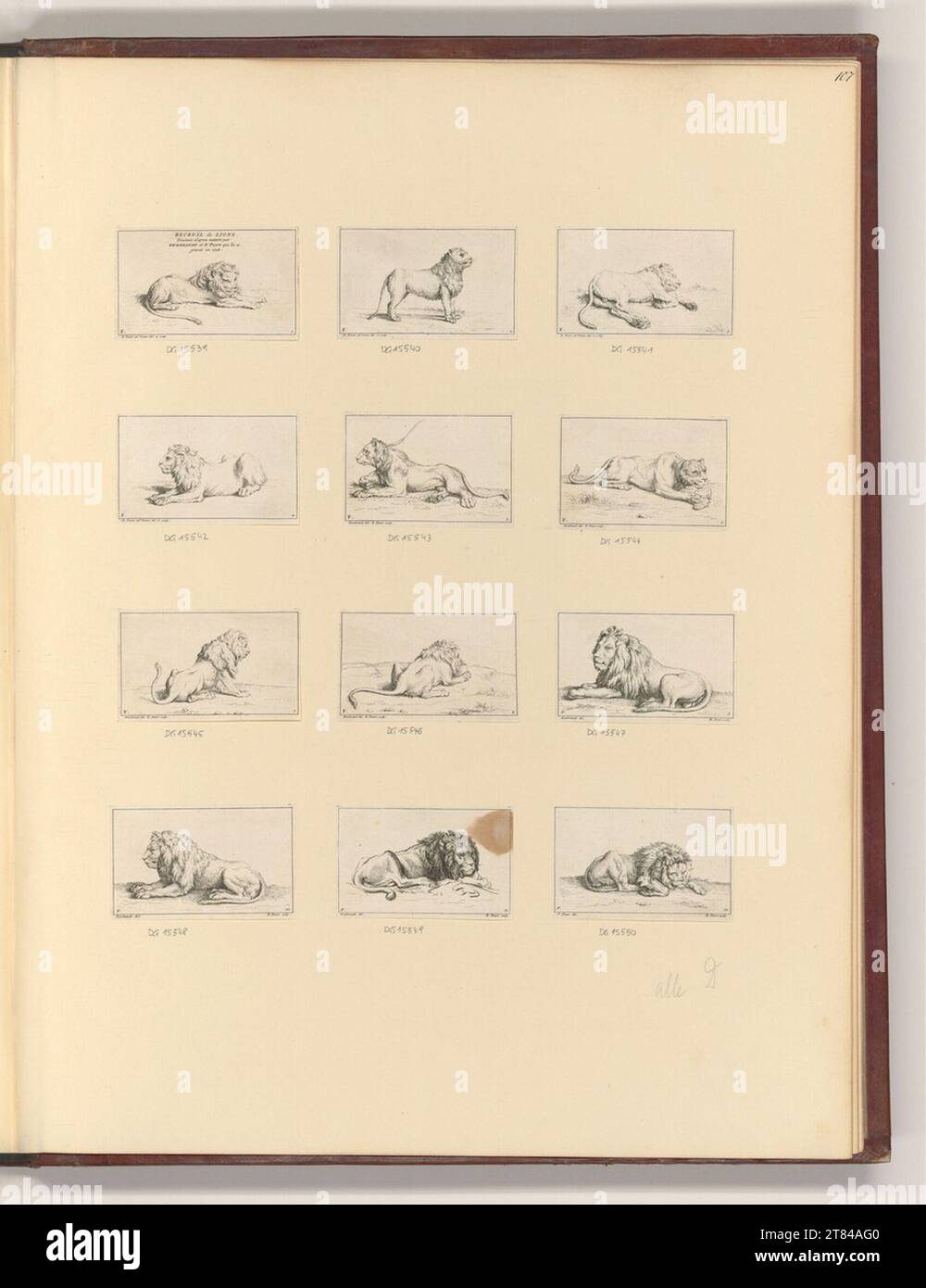Bernard Picart Titleblatt, Recueil de Lions, Löwen. Ätzen 1728 , 1728 Stockfoto