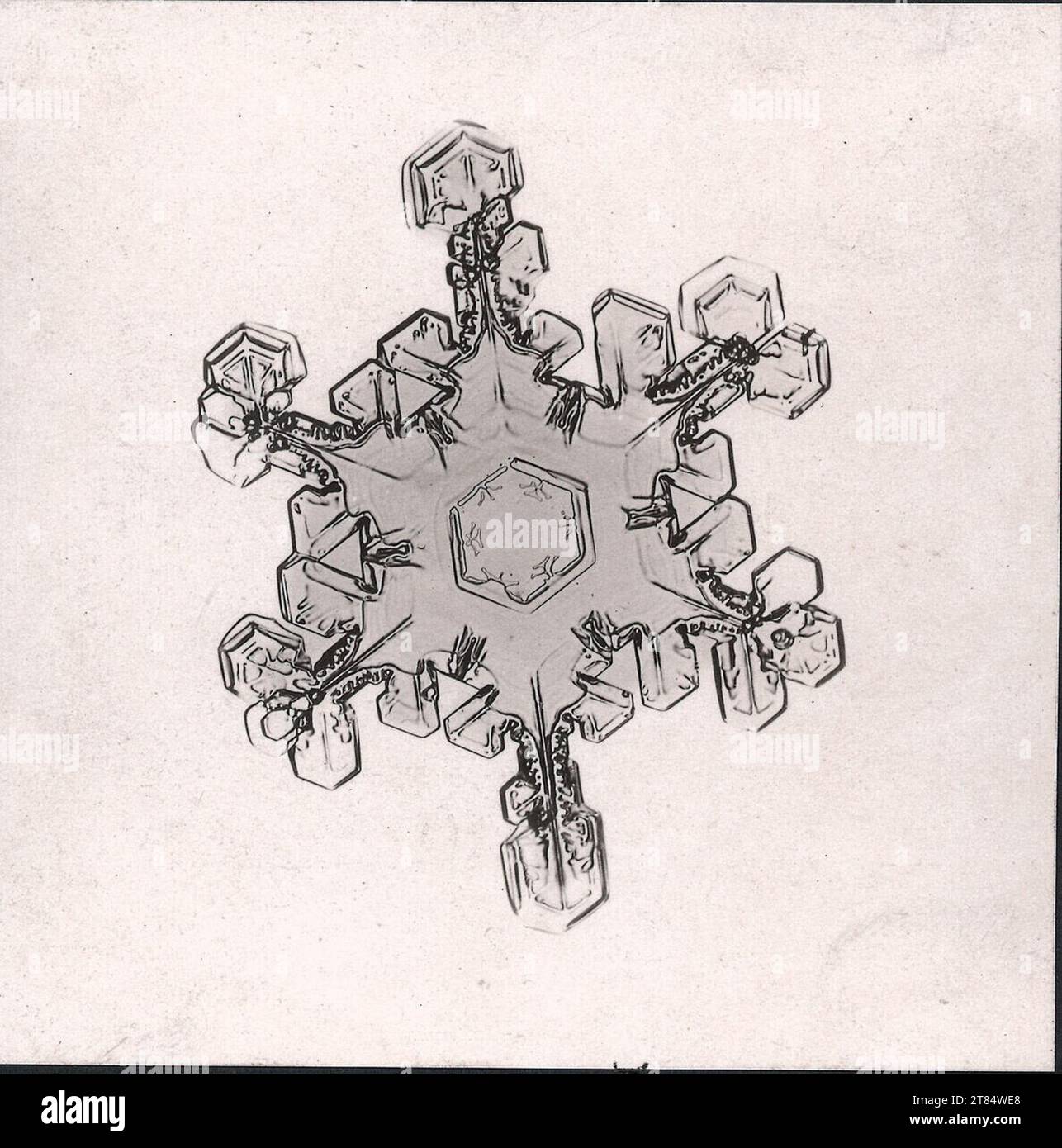 Richard Neuhauss Schneekristall, 30-fache Vergrößerung, aufgenommen bei 8° Celsius, Vorbereitung gefärbt mit einem Tropfen farbigem Öl. Silbergelatine Entwicklungspapier 1892, 1892 Stockfoto