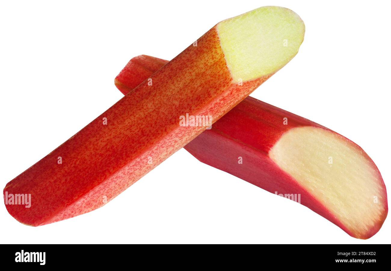 Frischer Rhabarber auf weißem Hintergrund Stockfoto