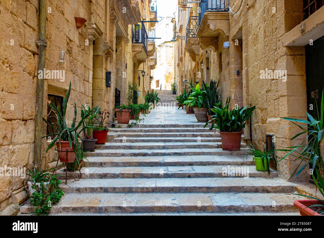 Enge Kopfsteinpflasterstraßen in Birgu, einer der drei Städte in der Nähe von Valletta, Malta. Stockfoto