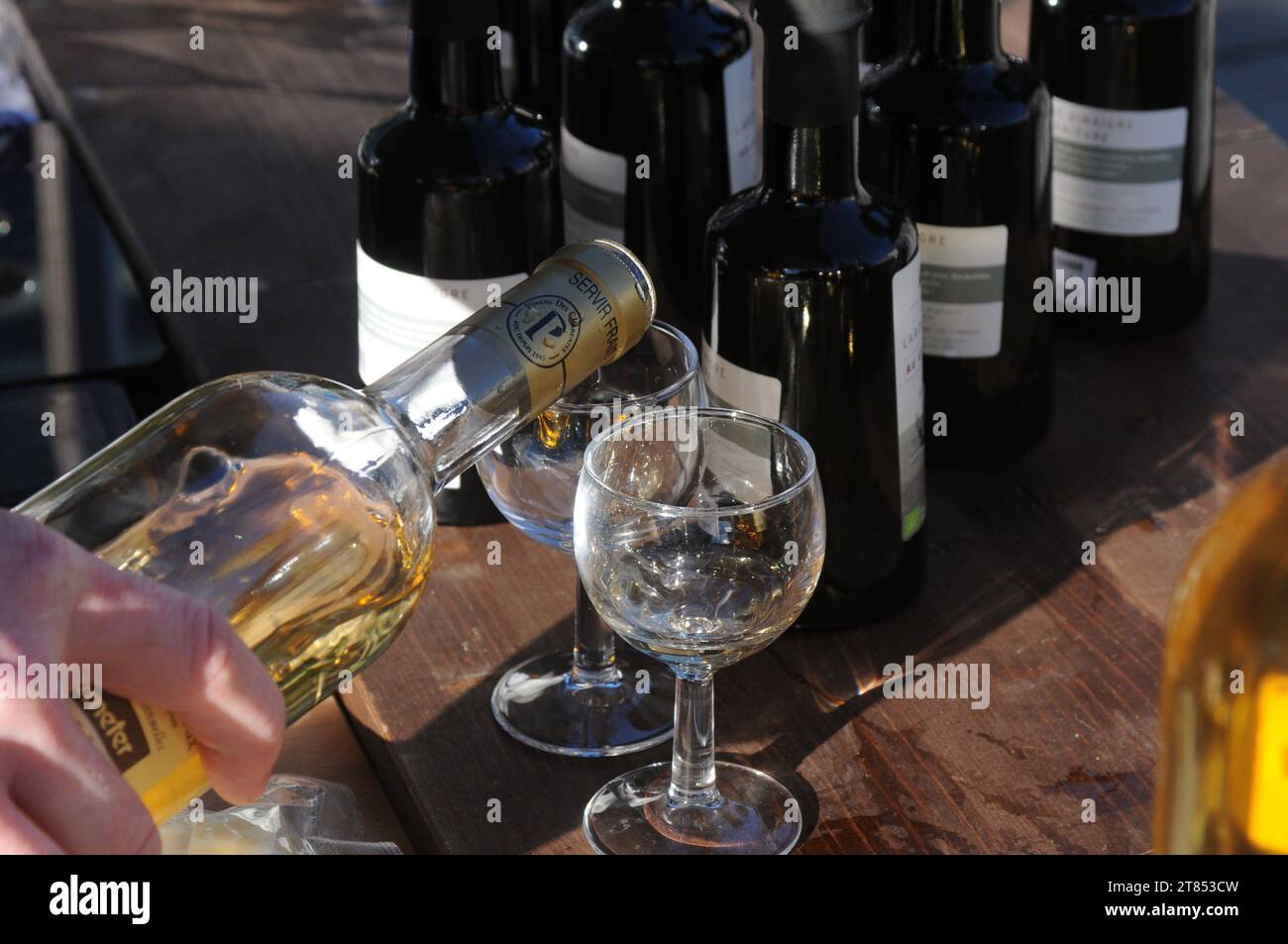 Kopenhagen, Dänemark /18. November 2023/.Pineau des charentes Bio-Getränkeverkostung in Kopenhagen. Photo.Francis Joseph Dean/Dean Pictures Credit: Imago/Alamy Live News Stockfoto