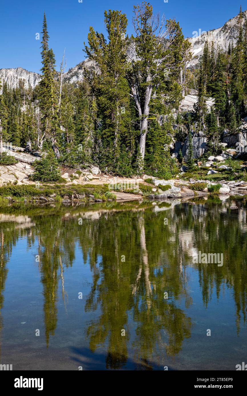 OR02794-00...OREGON - Bäume spiegeln sich im Mirror Lake im Lakes Basin Area der Eagle Cap Wilderness. Stockfoto