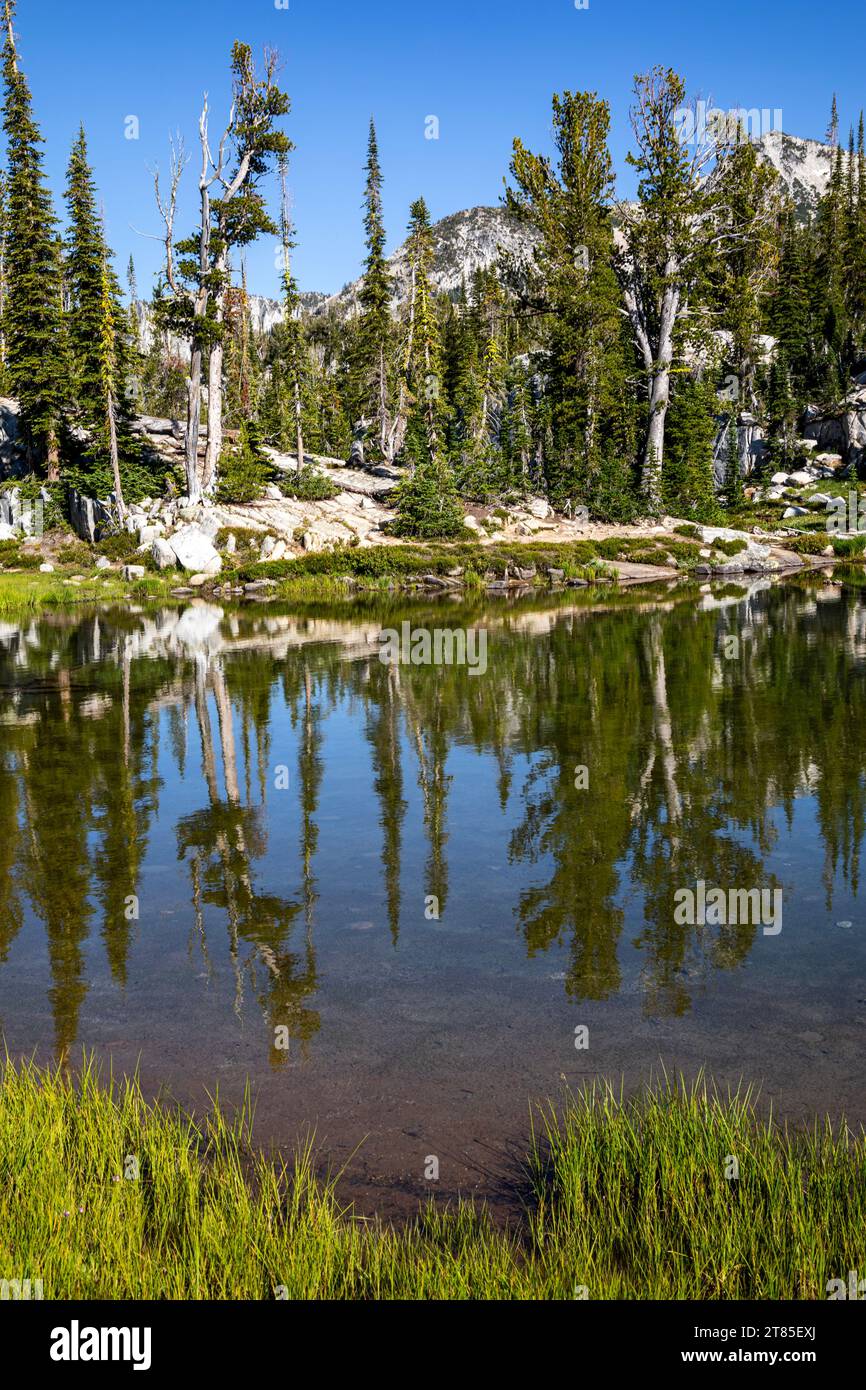 OR02795-00...OREGON - Bäume spiegeln sich im Mirror Lake im Lakes Basin Area der Eagle Cap Wilderness. Stockfoto