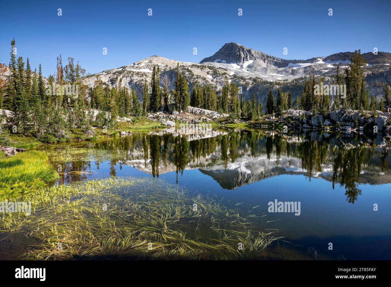 OR02800-00...WASHINGTON - Eagle Cap Peak reflektiert im Sunshine Lake; Eagle Cap Wilderness. Stockfoto
