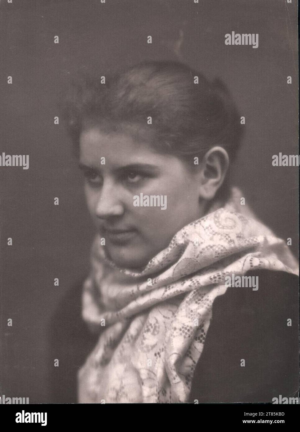 Studienleiter Ludwig David. Platin Print 1882-1895 , 1882/1895 Stockfoto