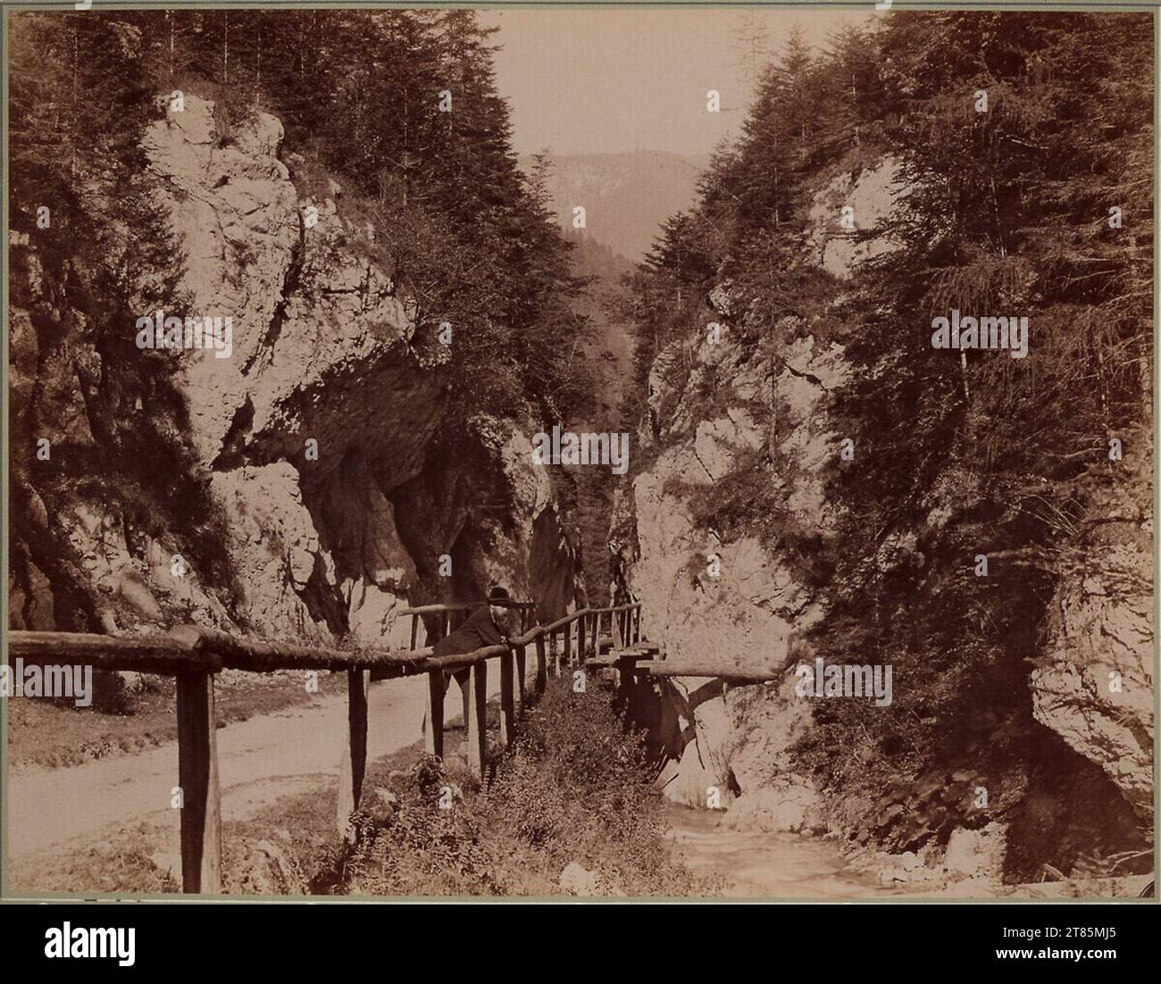 Johann Friedrich Schmid die Kiefernbrücke in der Nasswalde. Albuminpapier, auf der Schachtel um 1895 Stockfoto