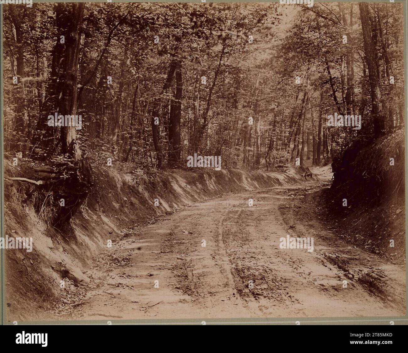 Johann Friedrich Schmidwald im Landesinneren. Albuminpapier, auf der Schachtel um 1895 Stockfoto