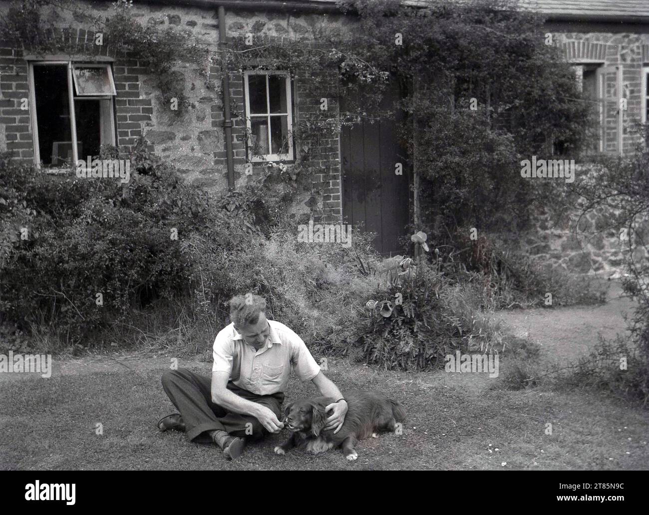 1950er Jahre, historisch, ein Gentleman mit seinem Hund vor einem englischen Landhaus, der ihm eine Leckerei schenkt, einen Kaugummi, England, Großbritannien. Stockfoto