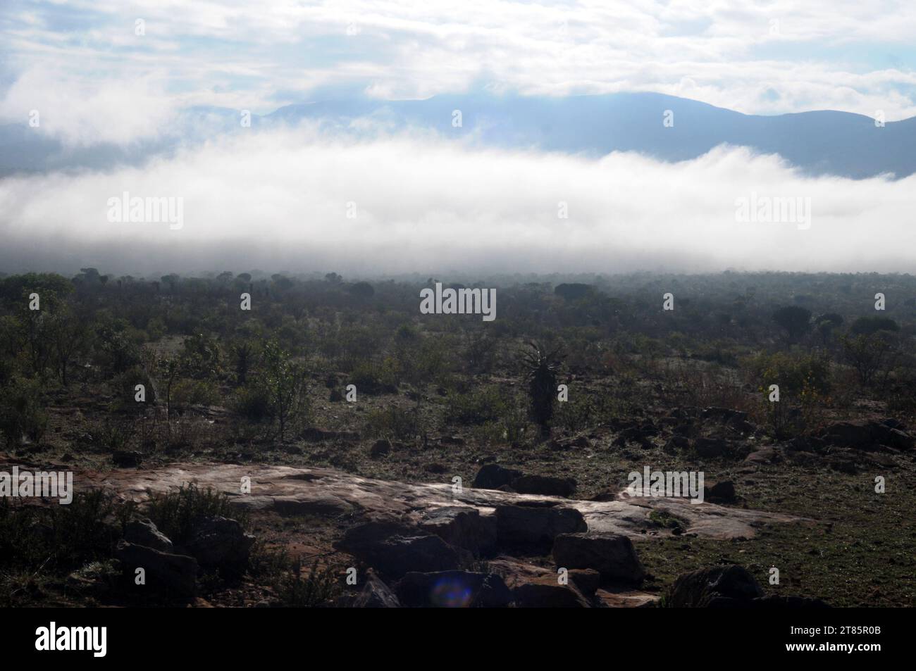 Während die Welt gegen den Klimawandel kämpft, bedeckt Nebel das Dorf Maja am Rande des Drakensbergs in Limpopo, Südafrika als Wettermuster Stockfoto