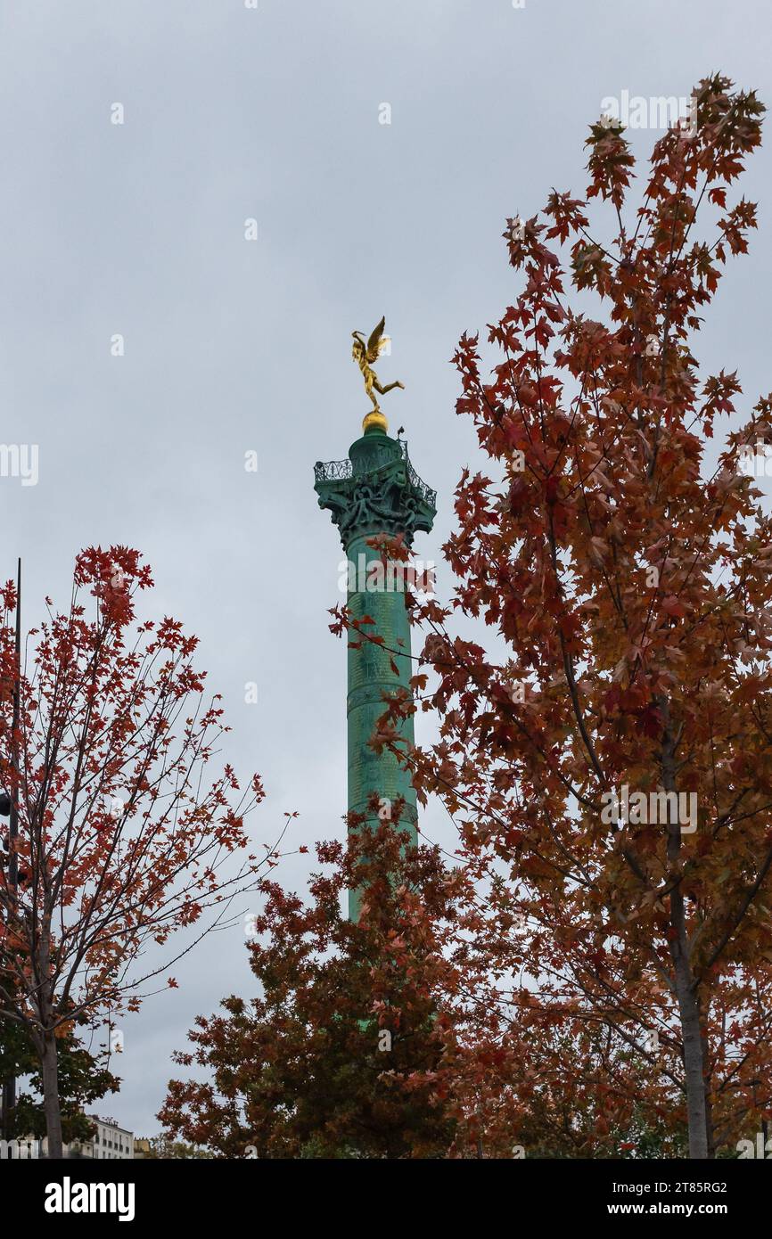 Paris, Frankreich, 2023. Die Julisäule und ihre goldene Génie de la Liberté, die durch die Äste des roten Ahorns (Acer rubrum) (vertikal) hervortritt Stockfoto