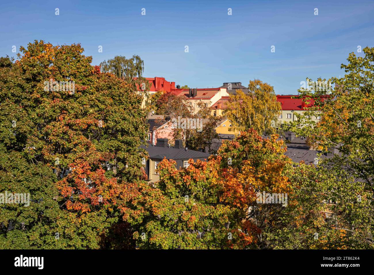 Herbstfarben im Stadtteil Puu-Vallila in Helsinki, Finnland Stockfoto